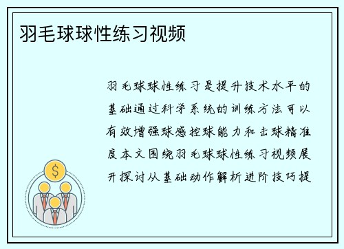羽毛球球性练习视频